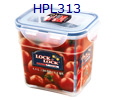 HPL313klein