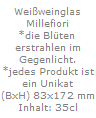 Wei�weinglas
Millefiori
*die Bl�ten 
erstrahlen im
Gegenlicht.
*jedes Produkt ist
ein Unikat
(BxH) 83x172 mm
Inhalt: 35cl