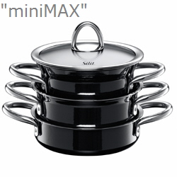 miniMAX_Silargan