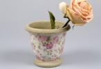 blumentopf rose